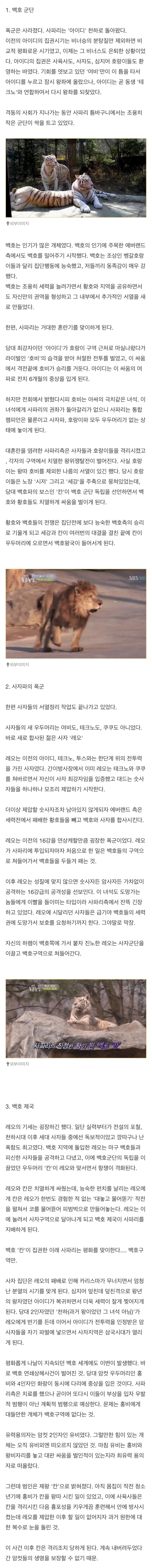 헉짤-헉 감탄사가 절로 나오는 짤 -에버랜드 백호군단 등장-1번 이미지