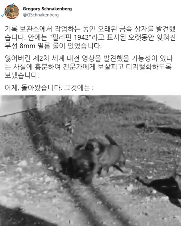 헉짤헉 감탄사가 절로 나오는 짤 1942년 전쟁중이던 필리핀에서 남긴 기록물-1번 이미지