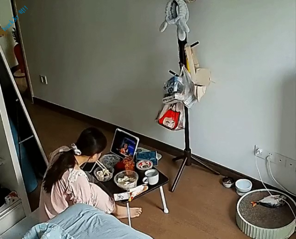 헉짤헉 감탄사가 절로 나오는 짤 펌 고양이 키우기 전 필수 시청 짤.gif-1번 이미지