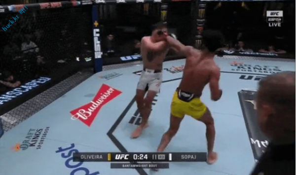 이슈유머걸그룹kpop헉짤엽기유머 오늘 UFC 에서 나온 충격적인 KO 장면-1번 이미지