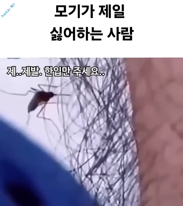 이슈유머걸그룹kpop헉짤모기가 제일 싫어하는 사람-1번 이미지