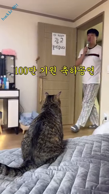 이슈유머걸그룹kpop헉짤고양이 유튭채널 100만 앞둔 구독자 축하 공연 게스트.mp4-1번 이미지