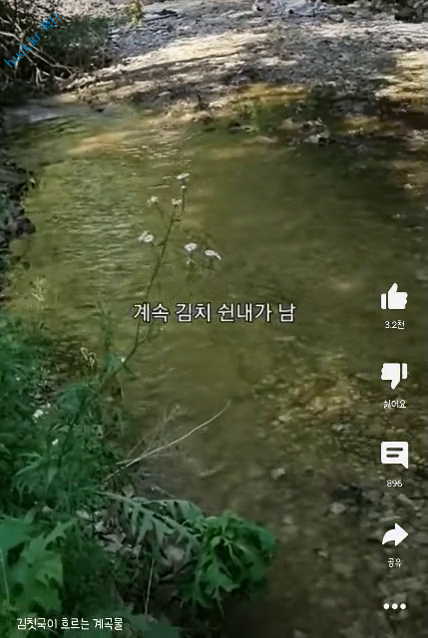 헉짤-헉 감탄사가 절로 나오는 짤 -[기타]계곡물에서 김치 쉰내가 나는 이유.gif-1번 이미지