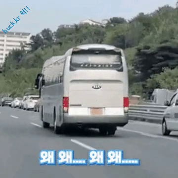 헉짤-헉 감탄사가 절로 나오는 짤 -도로 위 암덩어리 무적버튼 .gif-1번 이미지